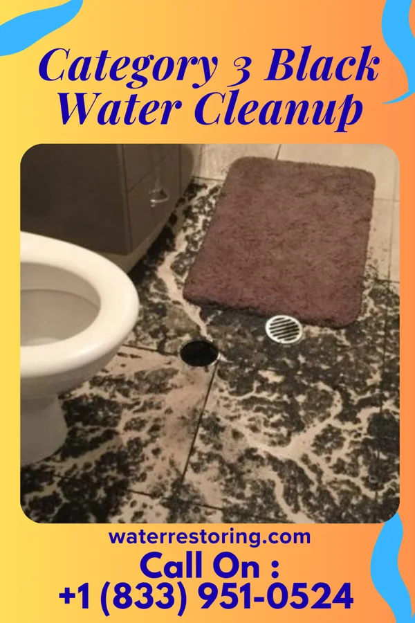 Category 3 Black Water Cleanup in Sweeny, TX
