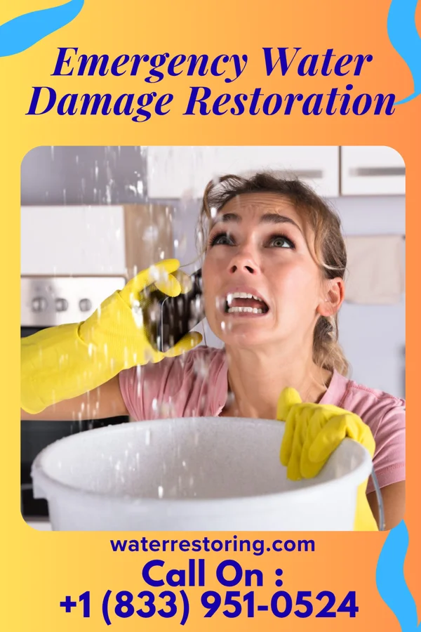 Emergency Water Damage Restoration in Sweeny, TX
