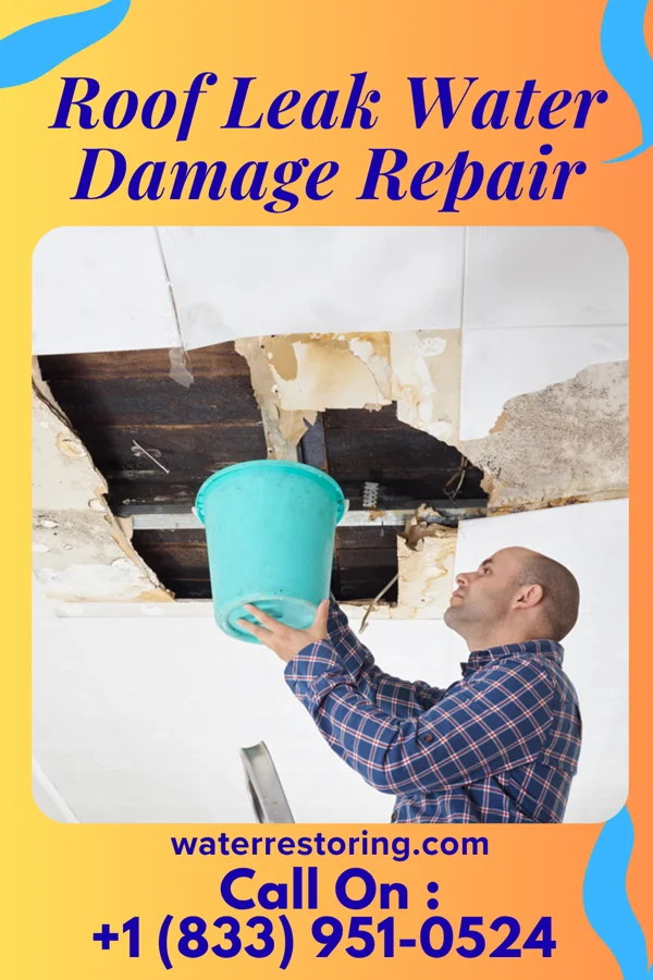 Roof Leak Water Damage Repair in Sweeny, TX